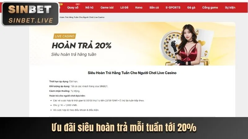 Biểu tượng hoàn tiền cho cá cược thể thao, thể hiện chính sách ưu đãi hấp dẫn của cwin88 casino